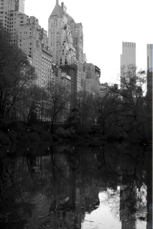 Central Park by Dave Lilja