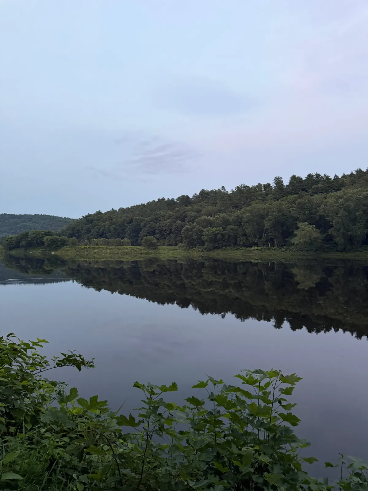 A wooded hillside mirrored in a still river at dusk